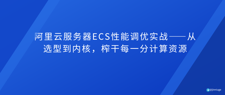 阿里云服务器ECS性能调优实战——从选型到内核，榨干每一分计算资源